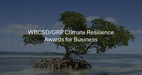 WBCSD/GRP Climate Resilience Awards for Business 2025