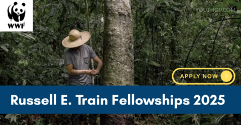 Russell E. Train Fellowships 2025