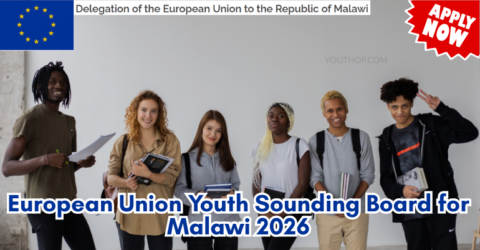 European Union Youth Sounding Board for Malawi 2026