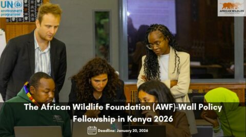 The African Wildlife Foundation (AWF)-Wall Policy Fellowship in Kenya 2026