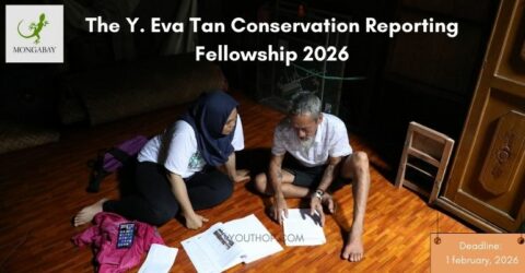 The Y. Eva Tan Conservation Reporting Fellowship 2026