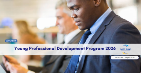 Young Professional Development Program 2026