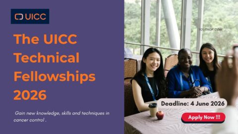 Call for the UICC Technical Fellowships 2026