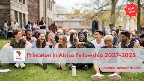 Call for Princeton in Africa Fellowship 2027-2028