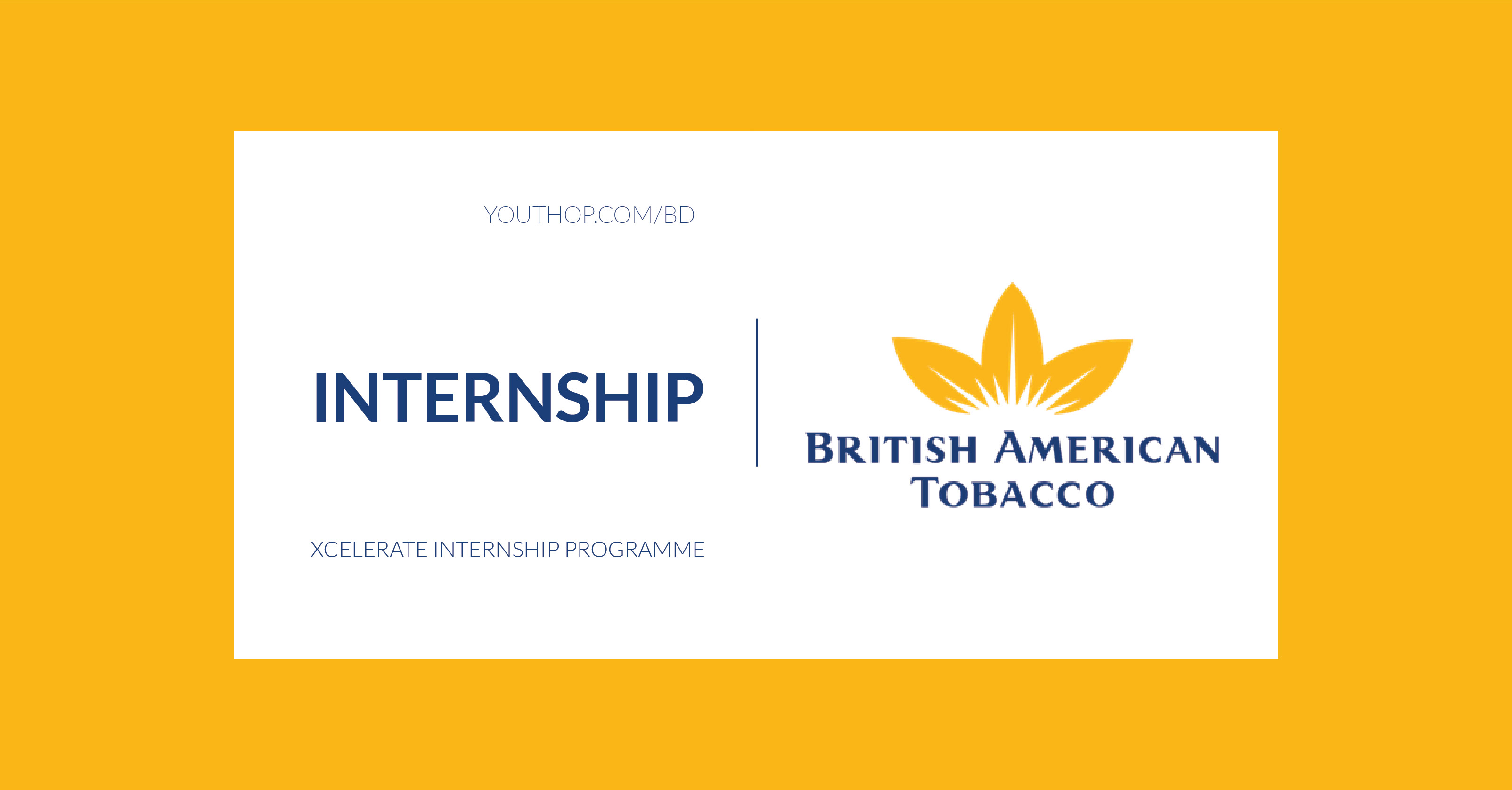 british american tobacco internship Xcelerate Internship Programme At British American Tobacco