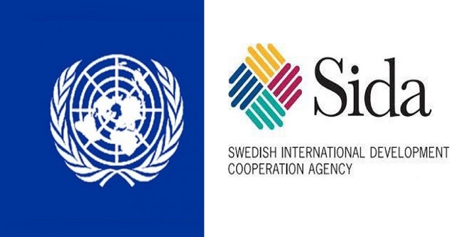 Vacancy at Swedish International Development Cooperation Agency 2020
