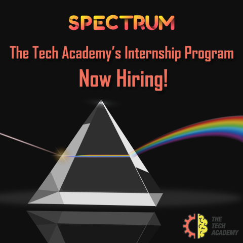 Internship Opportunity at The Tech Academy 2020