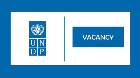 UNDP is looking for Project Manager, SIPS 2024 in Dhaka