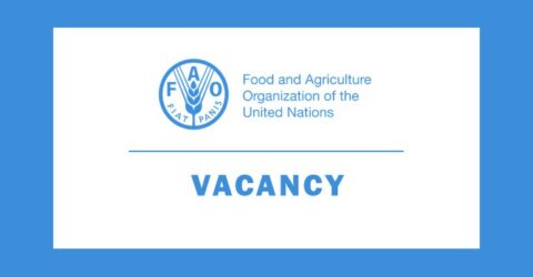 Food and Agriculture Organization of the United Nations is looking for Communications and Outreach Adviser 2021 in Dhaka