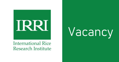 International Rice Research Institute (IRRI) is looking for Associate Scientist – Solar Energy and Climate Resilience 2025 in Dhaka