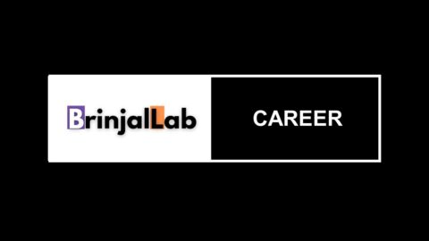 BrinjalLab is looking for Web Content Writer On Automotive / Car Niche 2022 in Bangladesh (Remote)