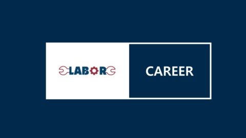 labor-force is looking for Website Content Writer 2022 in Dhaka