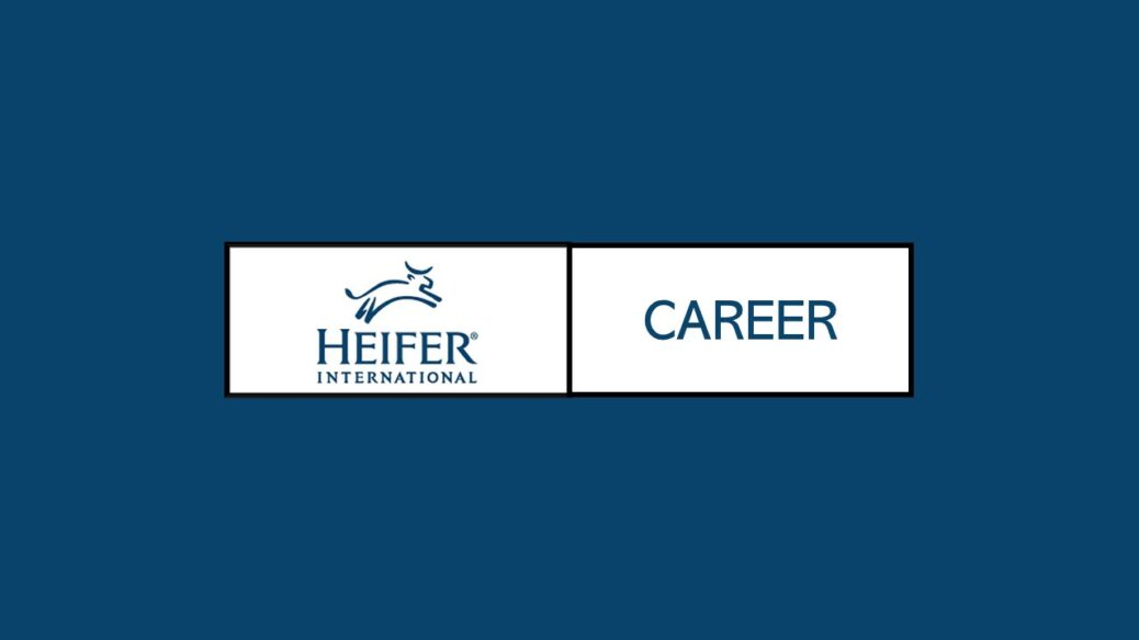 Heifer