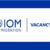 IOM is looking for a National Programme Officer 2020