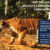 Postgraduate Diploma in International Wildlife Conservation Practice