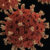 Zoonotic Diseases and One Health in the Asia-Pacific Region 2021