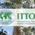 ITTO Freezailah Fellowship Fund 2021
